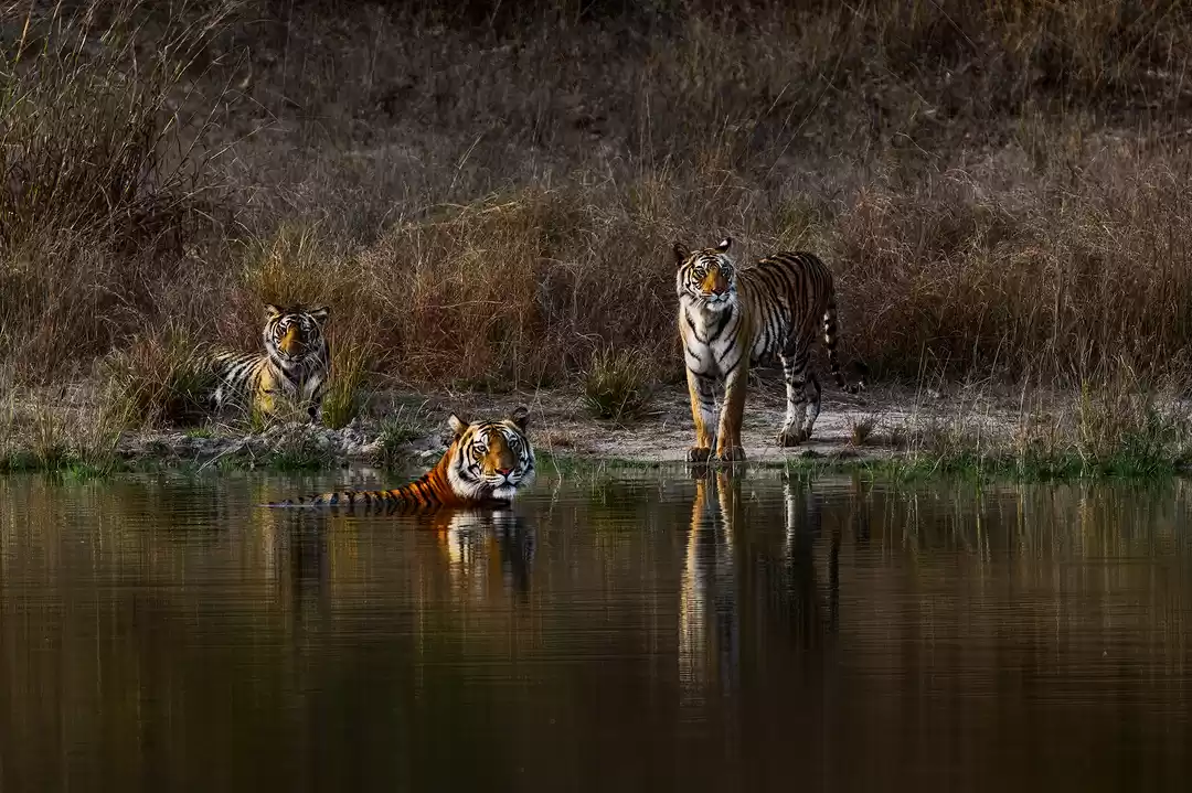 Murlen National Park